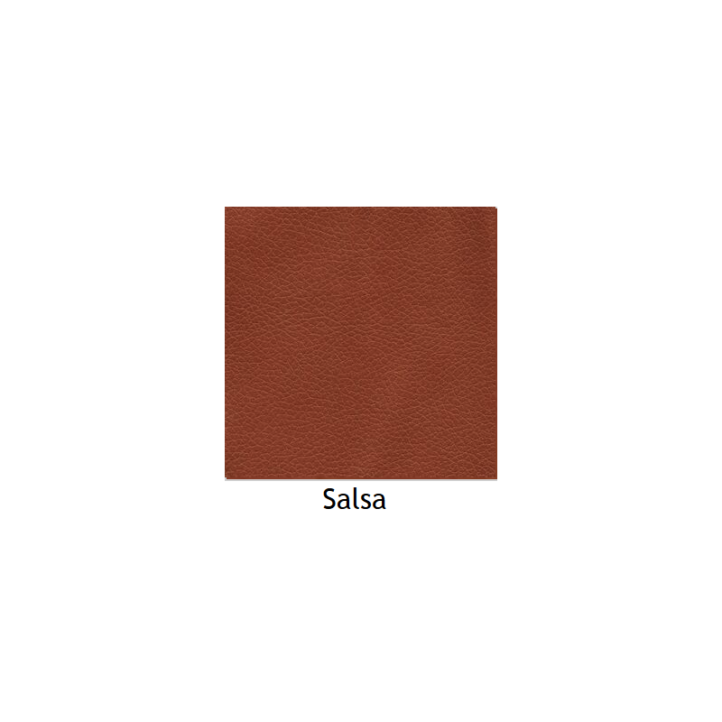 Brisa Salsa