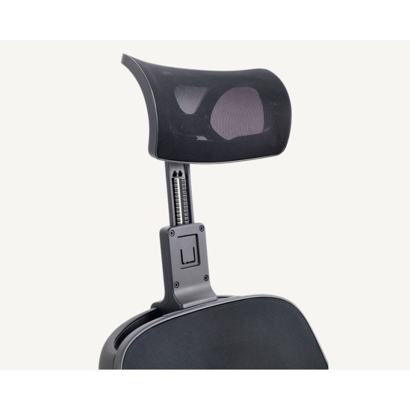 Ally Extendable Headrest