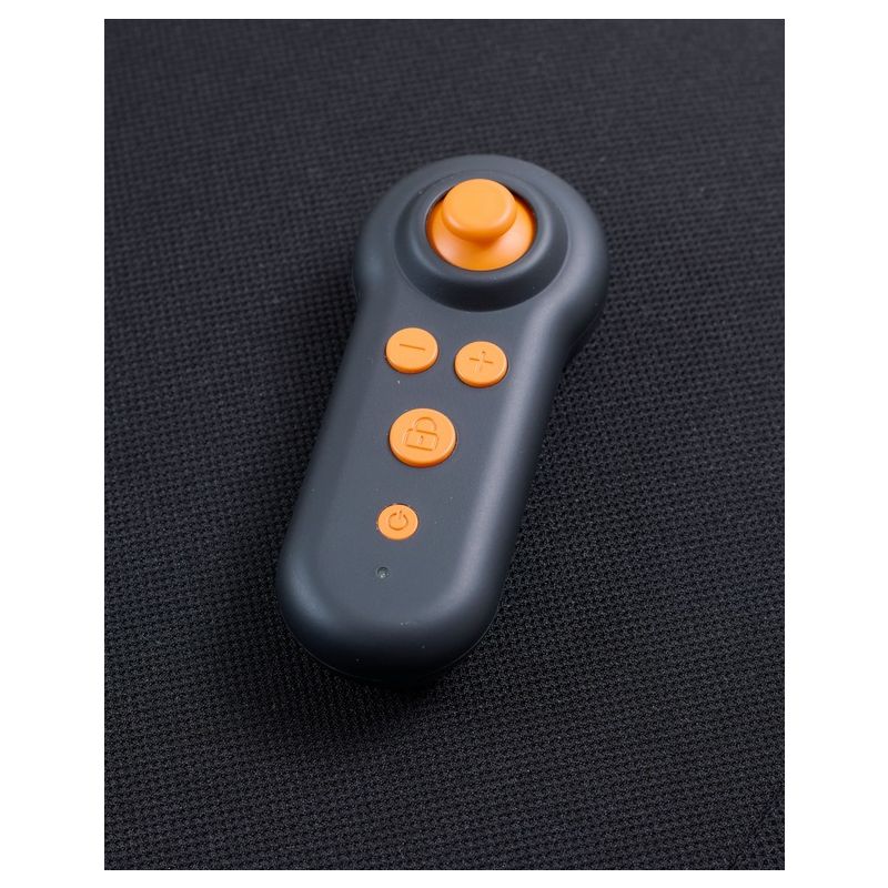 Ally Wireless Remote