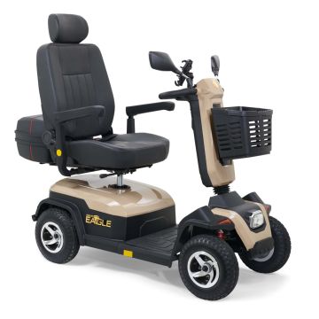 Golden Eagle in Desert Tan Golden Eagle in Desert Tan